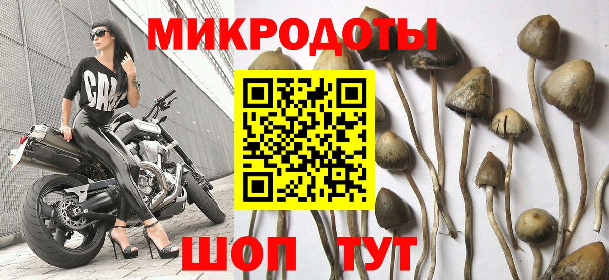 Псилоцибиновые грибы мухоморы Печора