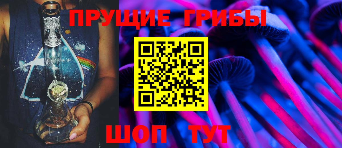 Печора  Псилоцибиновые грибы Psilocybe  Вход с VPN 